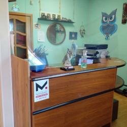 Хостелы Сова Гатчина-45