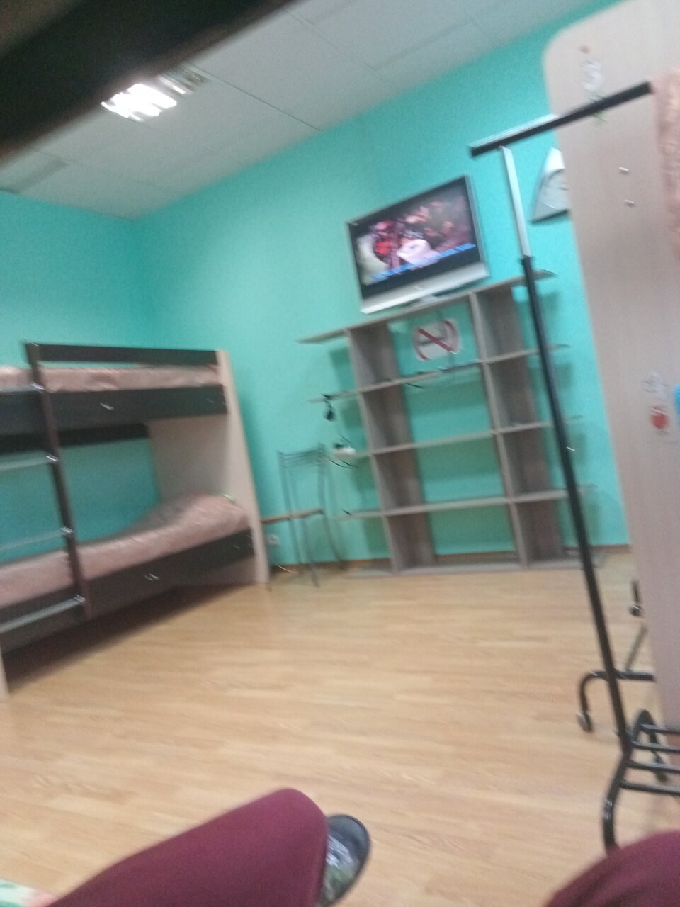 Хостелы Сова Гатчина-60