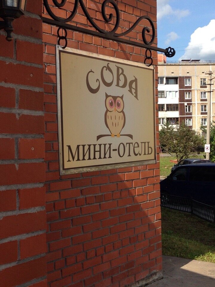 Хостелы Сова Гатчина-58